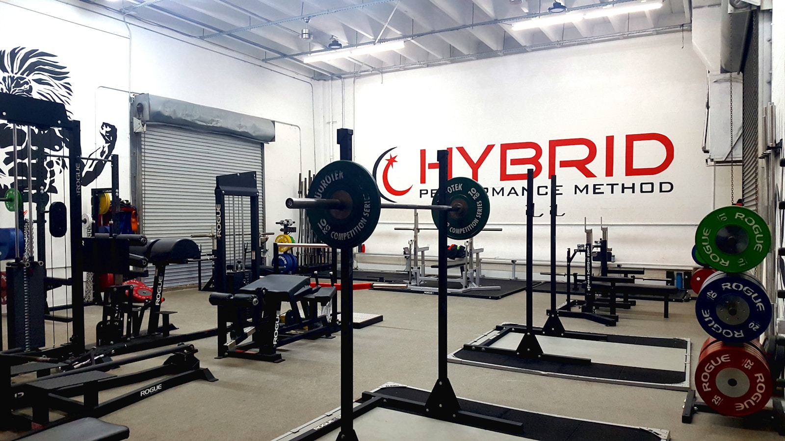 Une salle de sport vide, avec un rack à squat et des disques